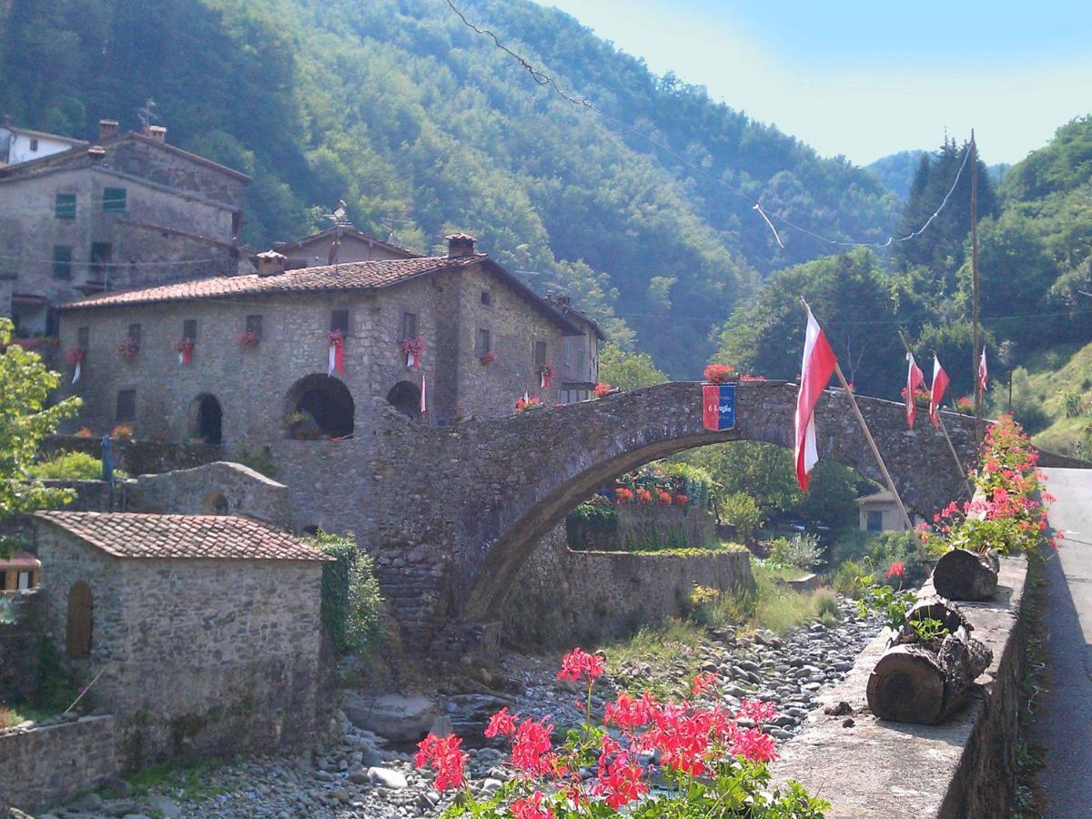 San Quirico  Belvilla By Oyo Olivi Giallo المظهر الخارجي الصورة