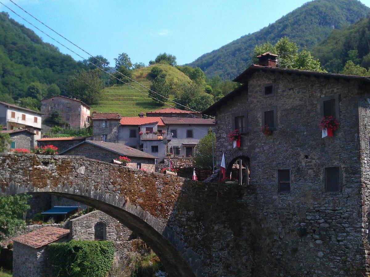 San Quirico  Belvilla By Oyo Olivi Giallo المظهر الخارجي الصورة